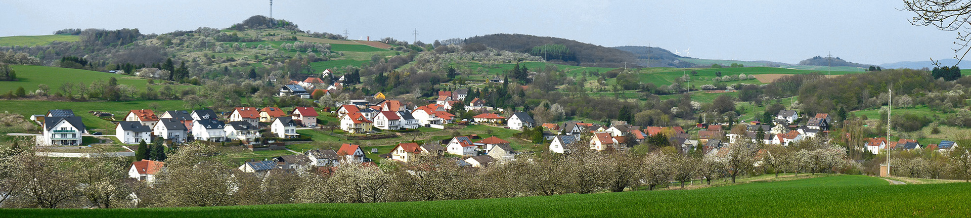 Panorama Dittweiler